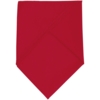 Шейный платок Bandana, красный (Изображение 2)