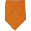 Шейный платок Bandana, оранжевый (Изображение 2)