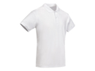 Рубашка-поло Prince мужская (белый) 3XL