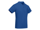 Рубашка-поло Prince мужская (синий) XL