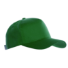 Бейсболка STAN 5 клиньев хлопок  (Зелёный) (Изображение 1)