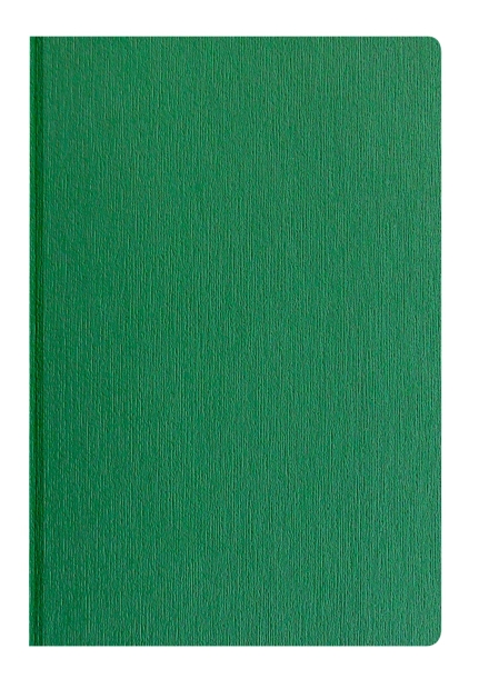 Ежедневник CAPRI (Зелёный) (Изображение 1)