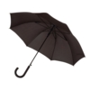 Зонт-трость WIND (Чёрный) (Изображение 1)