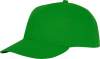 Кепка ALEX (Зелёный) (Изображение 1)