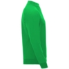 Джемпер (поло) EPIRO мужской, ПАПАРОТНИКОВЫЙ 2XL (Изображение 4)