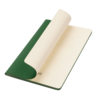 Подарочный набор Medium, зеленый (шоппер, блокнот, ручка, термобутылка) (Изображение 2)