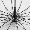 Прозрачный зонт-трость Clear 16 (Изображение 3)