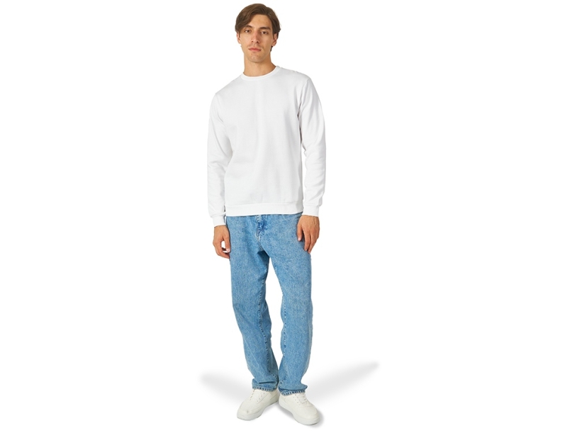 Толстовка Rome мужская (белый) 4XL (Изображение 4)