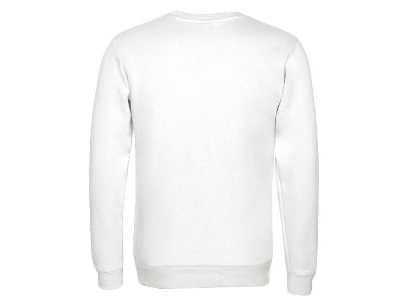 Толстовка Rome мужская (белый) 4XL (Изображение 10)