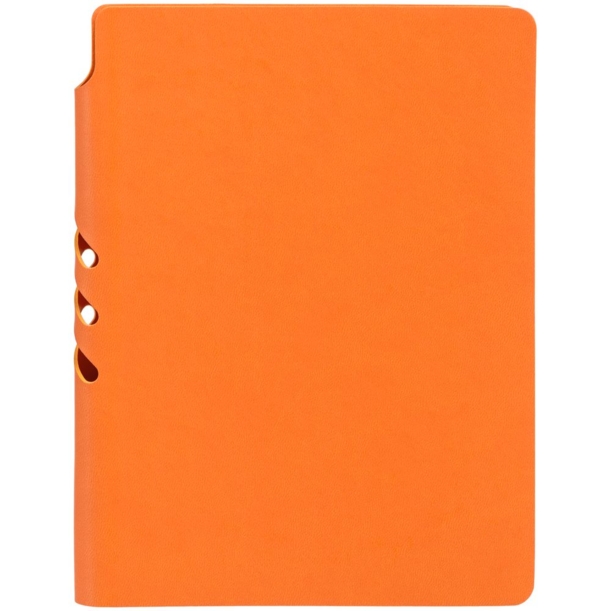Ежедневник Flexpen Color, датированный, оранжевый (Изображение 4)