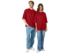 Футболка оверсайз Berlin унисекс (красный) XL-2XL (Изображение 6)