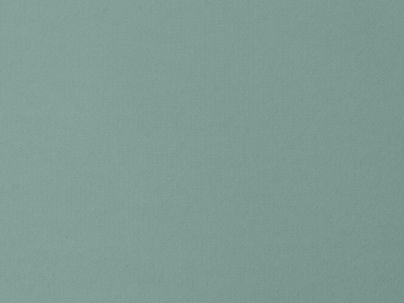 Футболка оверсайз Berlin унисекс (бирюзовый) M-L (Изображение 12)