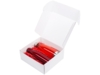 Подарочный набор из термобутылки и бутылки Bottle set (красный)  (Изображение 2)