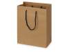 Пакет подарочный Kraft S, 23x30x12 см (Р) (Изображение 1)