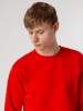 Свитшот Toima Heavy 2.0, красный, размер XL (Изображение 13)