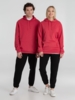 Толстовка с капюшоном унисекс Hoodie, красный меланж, размер S (Изображение 17)