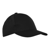 Бейсболка STAN 5 клиньев хлопок 150, 10J (Чёрный)