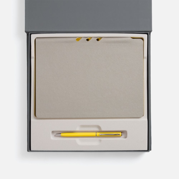 Набор Flexpen Grey, желтый (Изображение 2)