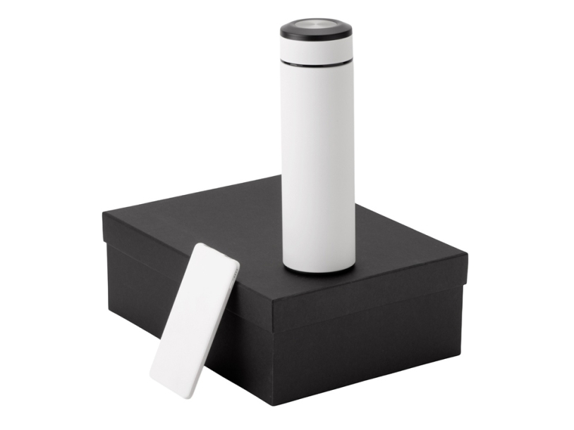 Подарочный набор COLOR IT c термосом и повербанком (белый) 5000 mAh (Изображение 1)