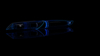 Перьевая ручка PININFARINA PF Two BLUE (Изображение 17)