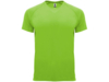 Спортивная футболка Bahrain мужская (лайм) 2XL (Изображение 1)