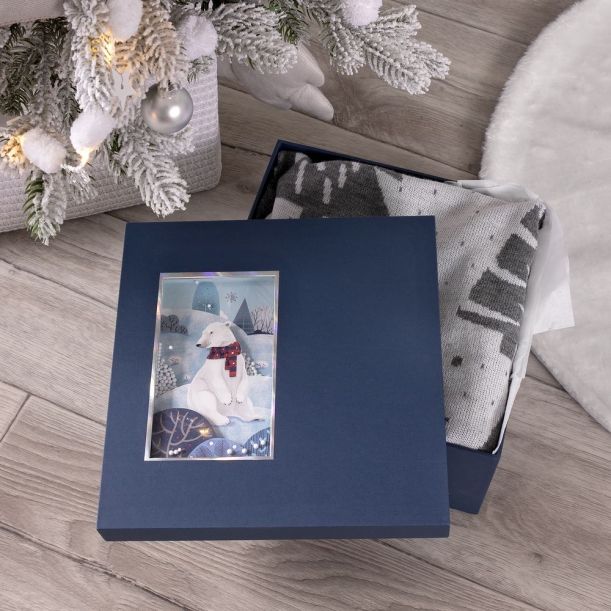 Коробка The Blue Bear, M (Изображение 2)