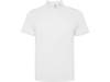Рубашка поло Tormo, мужская (белый) 3XL (Изображение 1)