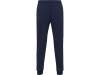 Брюки спортивные Rodas, мужские (navy) 3XL (Изображение 1)