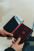 Обложка для паспорта Travelfinder с технологией Find My (Изображение 11)