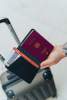 Обложка для паспорта Travelfinder с технологией Find My (Изображение 10)