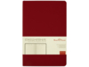 Ежедневник недатированный А5 Megapolis Color Flex New (бордовый)  (Изображение 2)
