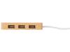 USB хаб с подсветкой лого Reedia S5, 3*USB, 1*Type C, бамбук, черный (Изображение 6)