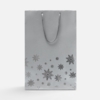 Пакет Wintry, серебристый (Изображение 2)