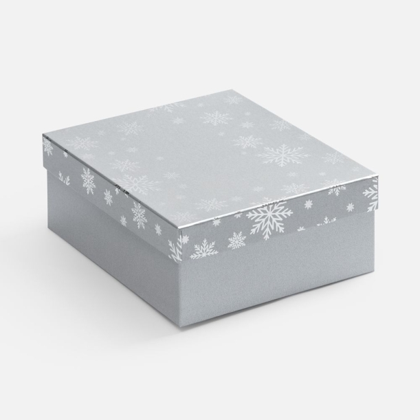 Коробка Wintry, серебристая (Изображение 1)
