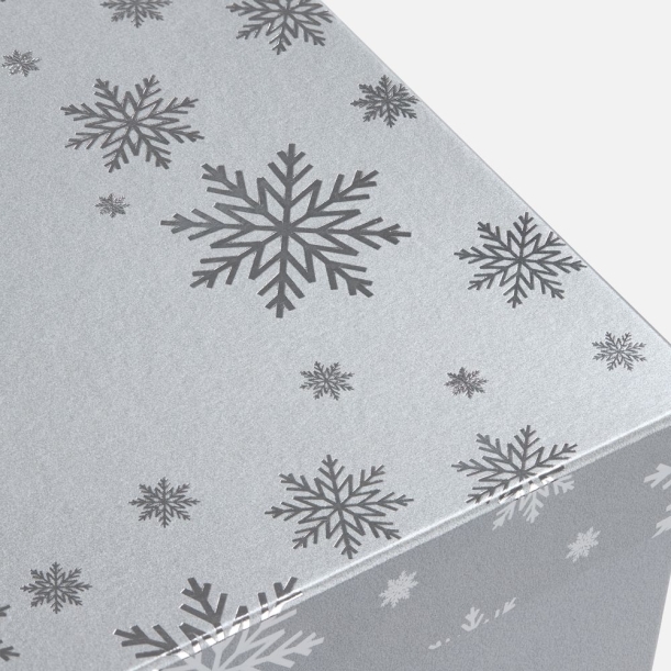 Коробка Wintry, серебристая (Изображение 3)