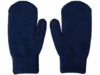 Варежки Dunant (navy)  (Изображение 3)