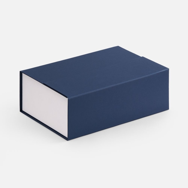 Коробка Bicolor Case, белая с синим (Изображение 1)