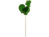 Леденец Петушок со вкусом яблока (зеленый)  (Изображение 2)