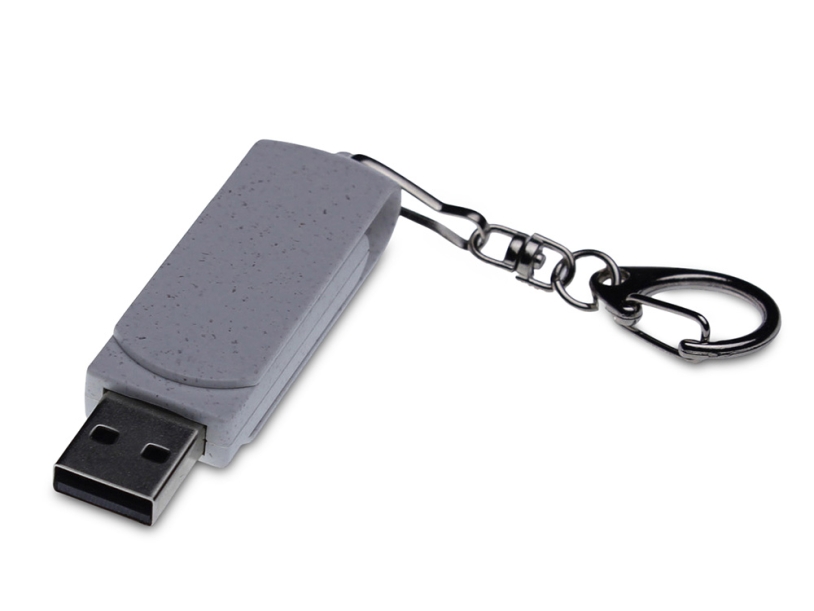 USB 2.0- флешка промо Варуна на 512 Мбайт с поворотным механизмом (серый) 512Mb (Изображение 1)