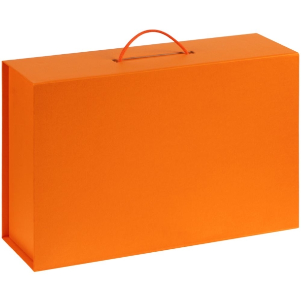 Коробка Big Case, оранжевая (Изображение 2)