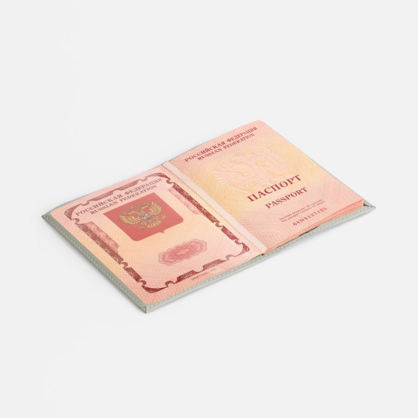 Обложка для паспорта Shall, ver. 2, серая (Изображение 4)