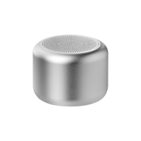 Беспроводная колонка Passion 80dB 600 mAh (Bluetooth 5.4), серебряная