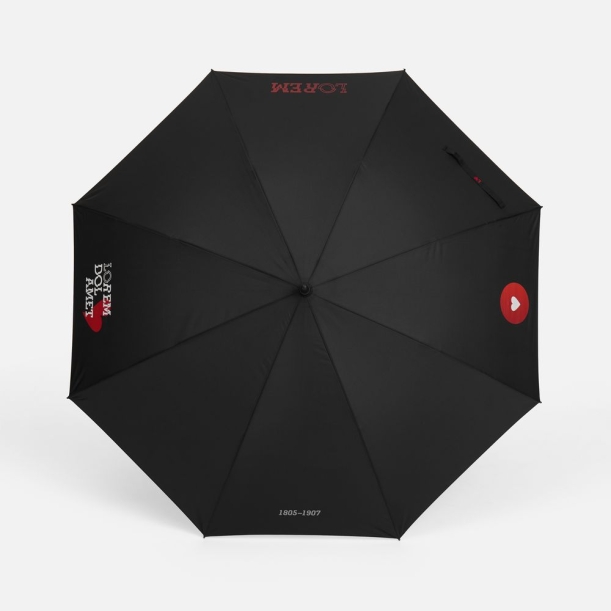 Зонт-трость Rainzee, ver.2, черный (Изображение 7)