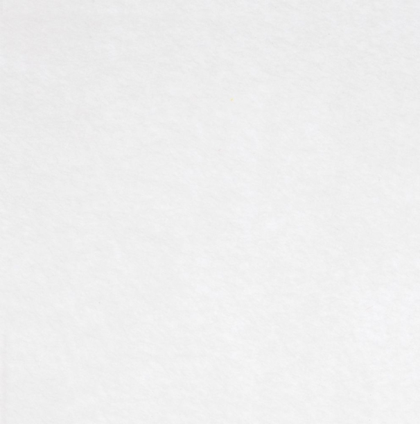 Заготовка из фетра Felt 600 (Изображение 1)