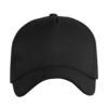 Бейсболка STAN 5 клиньев хлопок, 260, 112 (Чёрный) (Изображение 2)