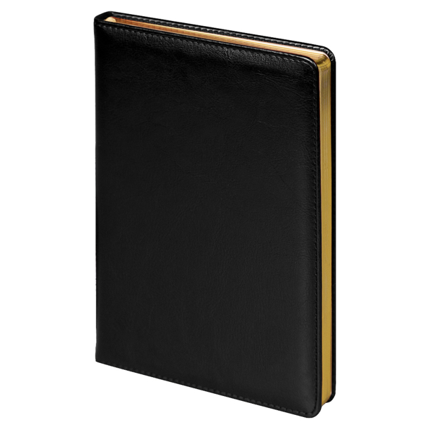 Набор подарочный Solution Duo (ежедневник City Nebraska, ручка Legend Soft Touch Mirror Gold), черный (Изображение 2)