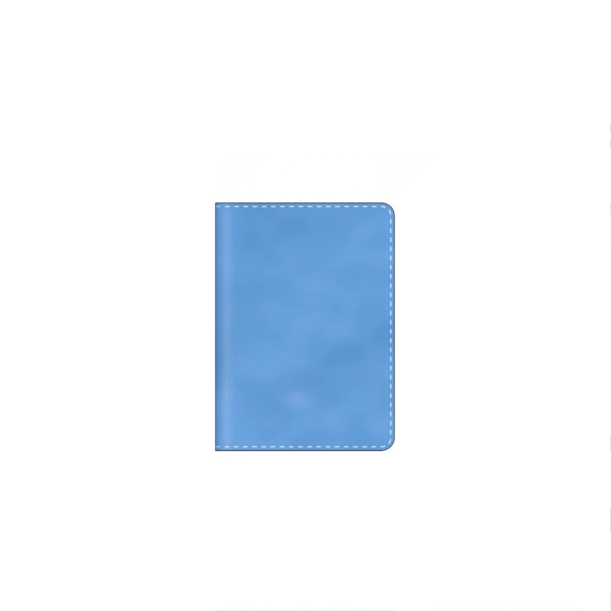Обложка на паспорт Сантьяго.  Под заказ (Изображение 2)