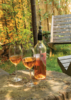 Охладитель для вина Vino (Изображение 5)