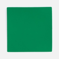 Лейбл Listra Soft Touch, L, зеленый