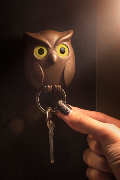 Брелок для ключей Night Owl (Коричневый) (Изображение 2)